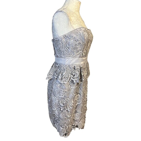 Adrianna Papell Dress 10 Pewter Light Lilac/Gray W Bra Wedding Party Cruise - Picture 5 of 10